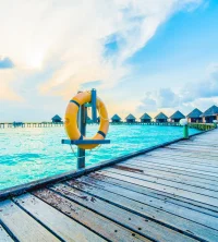 The Art of Hosting: Planning the Perfect Dinner Party