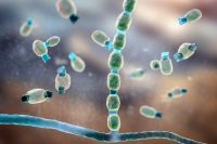 Study shows how the pandemic may have affected teens’ brains