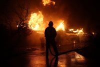 Transplanted pig kidney removed after functioning in living patient for more than four months