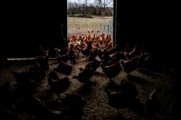 Kennedy said a ‘team’ is in Milwaukee to help with lead contamination. The city says that’s not true