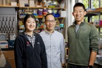 Shining a light on the dark matter of our genome